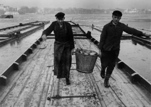 Hamburg. An der Alster. Fischer transportieren Karpfen in einem Metalltrog
