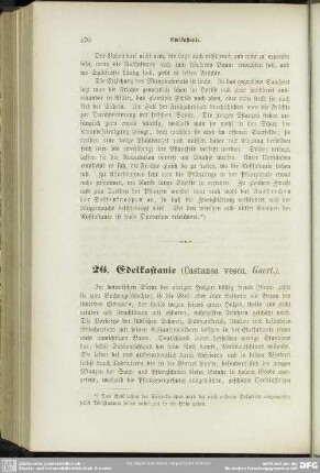 26. Edelkastanie (Castanea vesca, Gaert.)