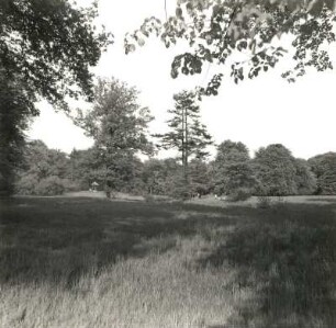 Cottbus. Branitzer Park. 1846/71; Fürst Hermann von Pückler-Muskau. Parkpartie