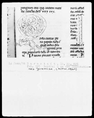 Testamentum Vetus — Initiale Q, Folio 185 recto