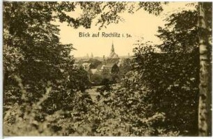 Rochlitz. Blick auf Rochlitz