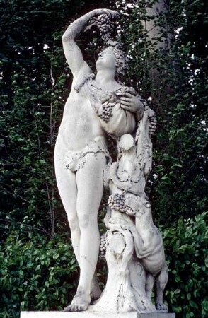 Bacchus Médicis