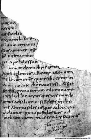 Homiliar - BSB Clm 14472