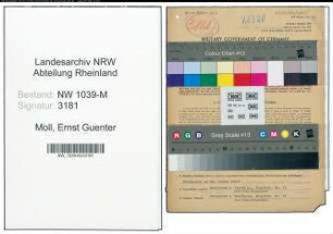 Entnazifizierung Ernst Guenter Moll , geb. 03.06.1909 (Prokurist)