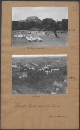 Lemberg
