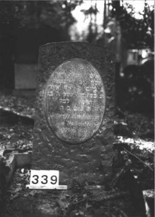 Grabstein 339 (Index: 99898430) Material: Granit Zustand: gut erhalten Maße HxBxT: 96x51x15 cm Beschreibung: grob behauene Stele mit Segmentbogenabschluss, ovales Schriftfeld: Grabstein 339