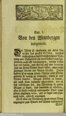 Erste Abtheilung von dem Wein-Bau