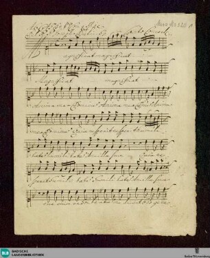 Magnificat - Don Mus.Ms. 320 : V (4), Coro, orch; D