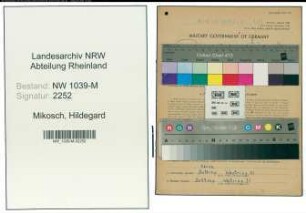 Entnazifizierung Hildegard Mikosch , geb. 15.06.1920 (Klavierlehrerin)
