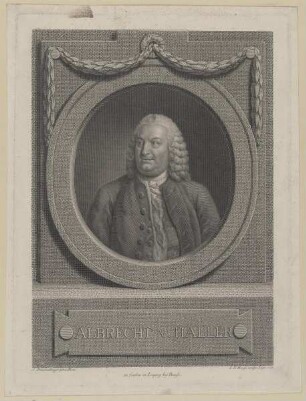 Bildnis des Albrecht v. Haller