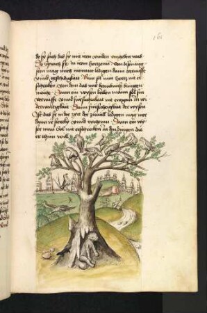Die Katze Peridon im Baumloch des Vogelbaums und die Maus Rom; (Kapitel VIII: Von der Katze und der Maus)