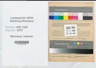 Entnazifizierung Heinrich Stermann, geb. 22.06.1905 (Landwirt)