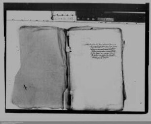 . Geldgeschäfte des Grafen Johann VI. von Nassau-Dillenburg: Band 2