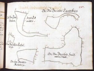 Häfnerhaslacher Hut: Sternenfelsische Waldstücke: Emmertskling, Haußmaßen Wald, Aichelberg, Eichelberg u. a.