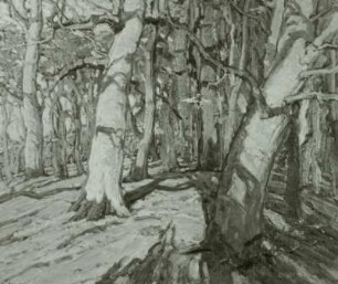 Waldlandschaft