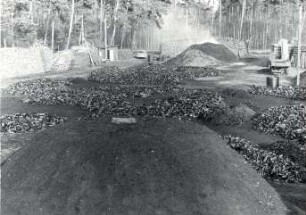 Holzkohlenherstellung in Rietschen, Meilerplatz : Handwerkstechniken - Kohlen- und Pechbrennerei. Ort: Rěčicy / Rietschen. Blick auf den Meilerplatz.