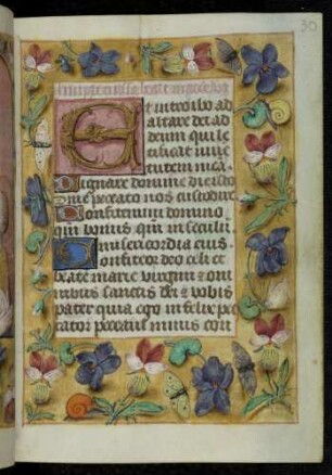 Initialzierseite (Marienoffizium): E(t introibo) ; Trompe l'oeil-Rahmen mit Blütenzweigen und Insekten