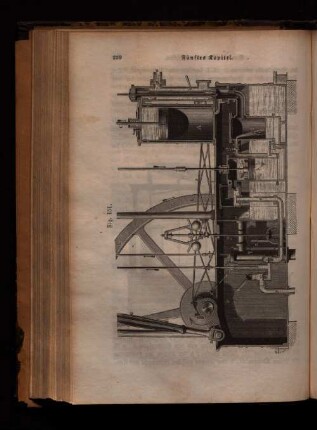 Fig. 151