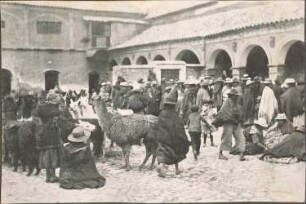 Quechua-Indianer und Lamas auf dem Markt in Potosí