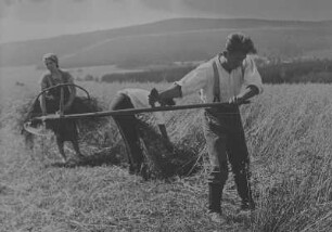 Kleinbauern bei der Feldarbeit : Kleinbauern bei der Feldarbeit