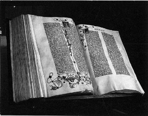 Der gehorsame Rebell
