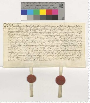 Die Kämmerer Franz Witzendorff und Ludolf Ditmer bekunden eine Schadloserklärung anlässlich des Todes des in Mölln verstorbenen Peter Grünhagen.