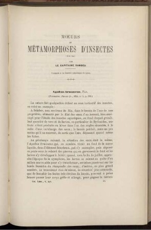 Moers Et Metamorphoses D' Insectes