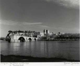 Blick auf den Papstpalast in Avignon, vorne die Rhone