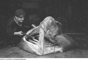 Braunbären im Karlsruher Zoo.
