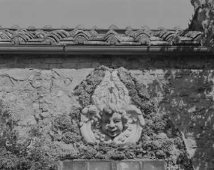 Cherub
