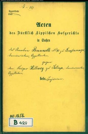 Brannolte, Nr. 41 zu Großenmarpe gegen Krüger Hellweg zu Istrup