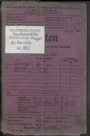 Angeklagter: Varney, Heinrich; Angeklagter: Ernst, Franz; Angeklagter: Draband, Paul: Landfriedensbruch (Plünderungen usw. in Hamm am 3.- 4.7.1919)