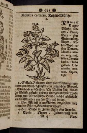 551-562, Mentha cattaria - Meum palustre