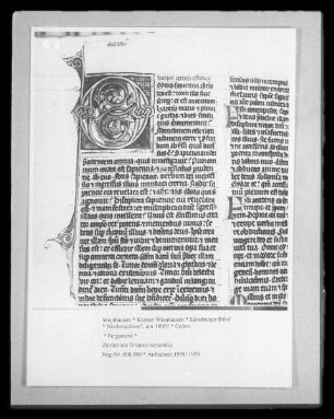 Lüneburger Bibel — Zierinitiale O (mnis sapientia)