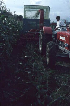 Fotografie: Erntetechnik, Silomais, Feldhäcksler gezogen, Pickup