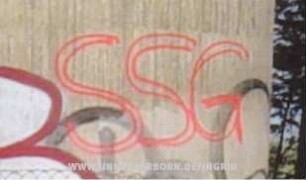SSG