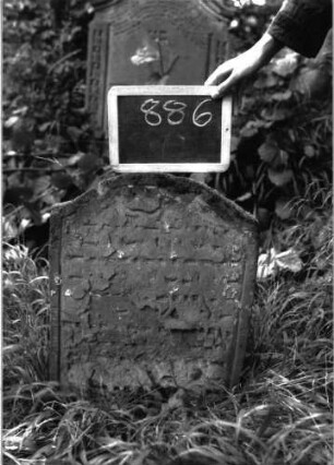 Grabstein 886 (Index: 100103727) Material: Sandstein Zustand: stark verwittert Maße HxBxT: 62x47x6 cm Beschreibung: Stele, unregelmäßiger Konvexbogenabschluss, Schriftfeld eingetieft: Grabstein 886