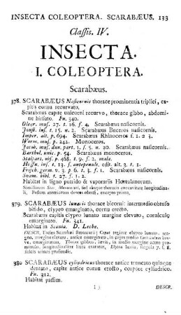 I. Coleoptera