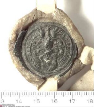 Eberhard von Buchenau, Konrad (Churth) Hermann von Buchenau und Bernhard Wilhelm von Buchenau bekunden, dass sie mit Heinrich [von Bobenhausen], H...