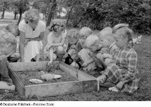 Kinder beim Beobachten eines Entenkükens
