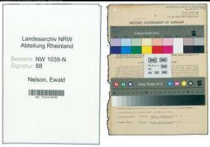 Entnazifizierung Ewald Nelson , geb. 04.01.1892 (Beamter)