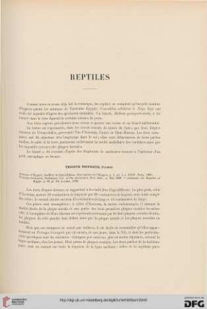 Reptiles