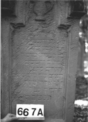 Grabstein 667 (Index: 99900565) Material: Sandstein Zustand: an den Rändern verwittert Maße HxBxT: 152x61x21 cm Beschreibung: aufgesockelte Stele mit eingezogenem Rundbogenabschluss, Giebel- und Eckakroterien in Akanthusform, im Bogenfeld Levitenkanne Symbolik: Levitenkanne, Akathus: Grabstein 667A