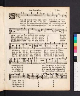 Altus, Primi Chori, 8. Voc.