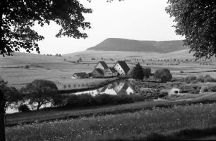 Geisingen: Mühle an der Donau, Vordergrund Äste