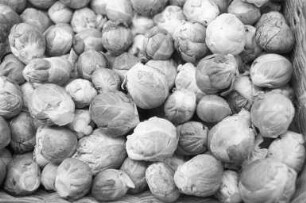 Rosenkohl in der Reihe "Tips der Verbraucherberatung"