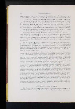 Harnblase, Vesica unrinaria.