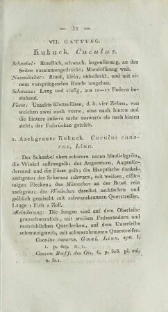 VII. Gattung. Kuckuck. Cuculus