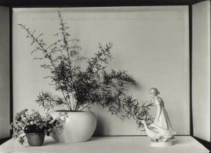 "Blumen um uns" (Photographische Plaudereien in Wort und Bild). Stilleben mit Blumentöpfen und Gänselieschen-Figur