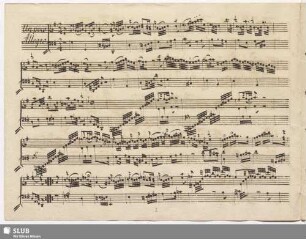 Sonata